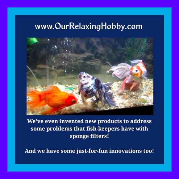 MEET THE FISHY CLOSET! - Picture 8 of 10